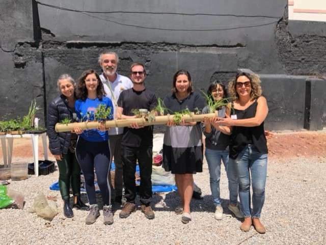1ª edição da Horta Coletiva no Campos Elíseos