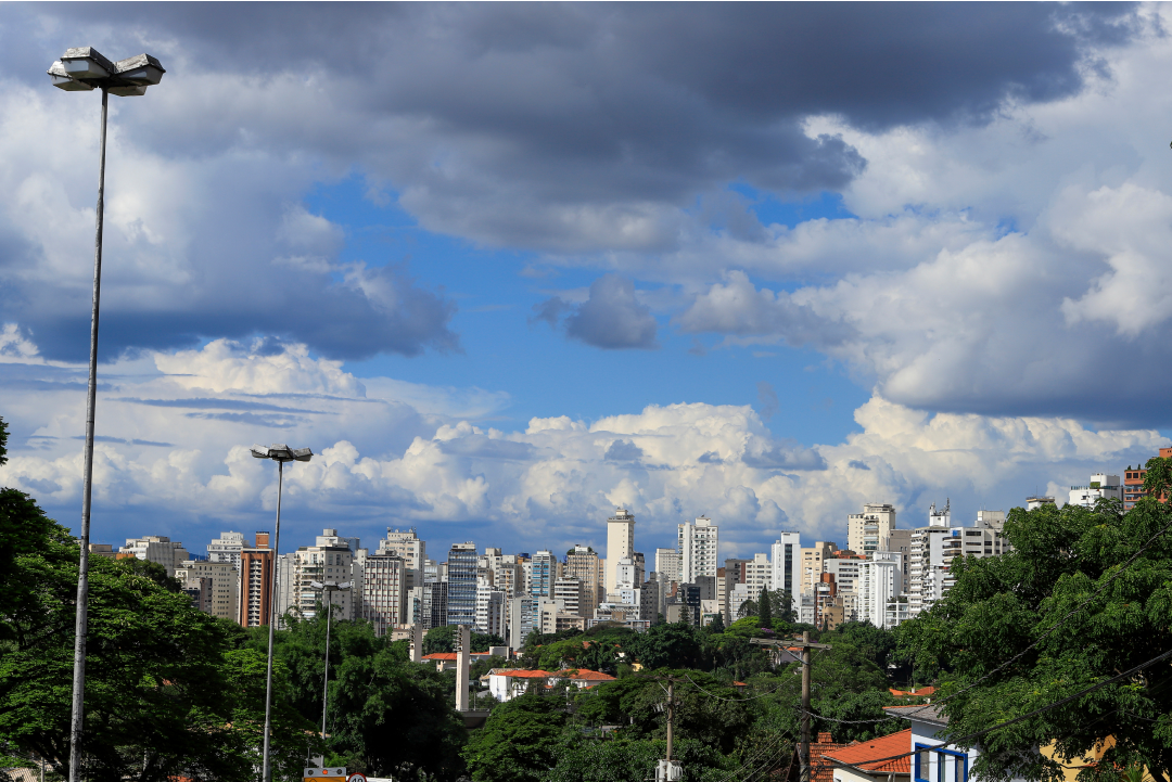 Um dia a pé na Vila Buarque
