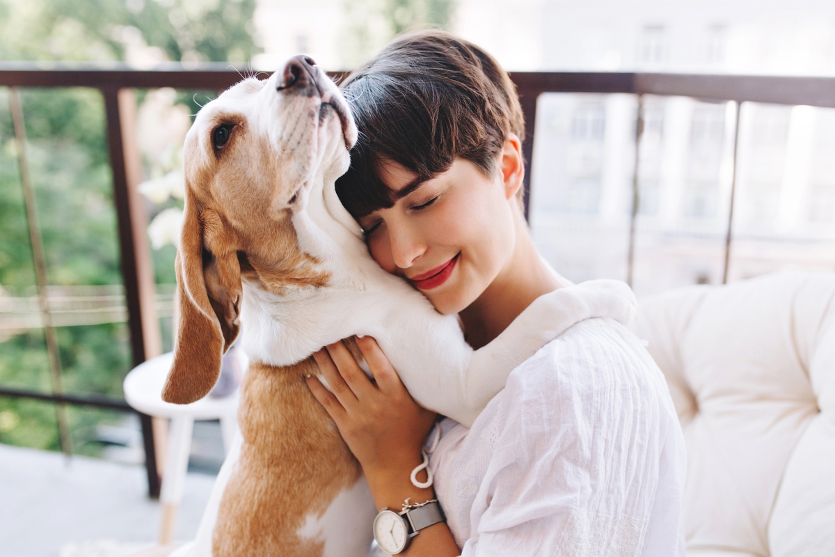Pet em casa: como manter a casa limpa e organizada?
