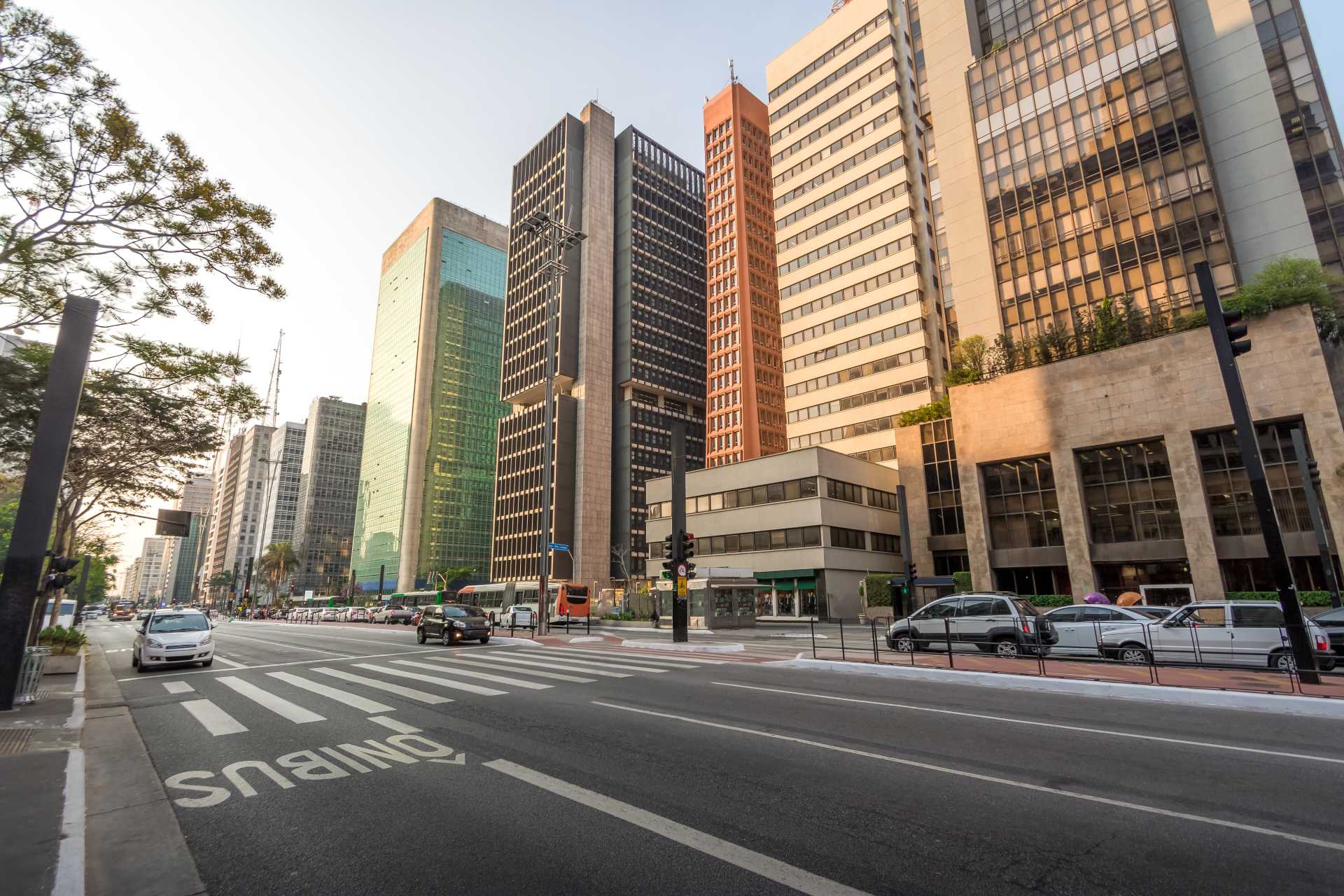 Bem Viver Paulista: qualidade de vida no coração de São Paulo
